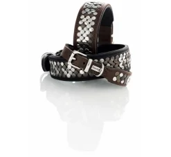 Hunter Hondenhalsband Arizona Up Zwart- Hondenhalsband
