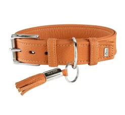 Hunter Hondenhalsband Cannes Oranje- Hondenhalsband
