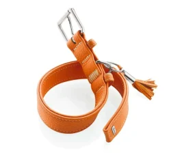Hunter Hondenhalsband Cannes Oranje- Hondenhalsband