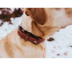 Hunter Hondenhalsband Canadian Up Cognac / Zwart- Hondenhalsband