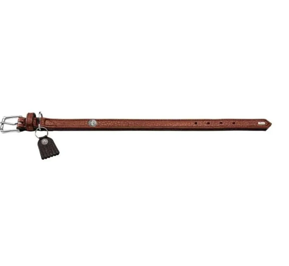 Hunter Hondenhalsband Cody Cognac- Hondenhalsband