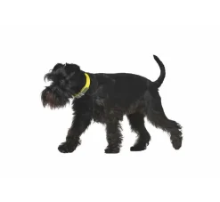Hunter Hondenhalsband Convenience Geel- Hondenhalsband