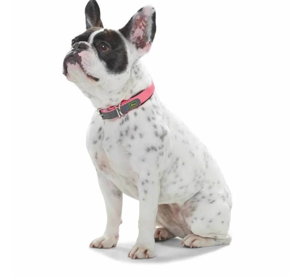 Hunter Hondenhalsband Convenience Comfort Roze- Hondenhalsband