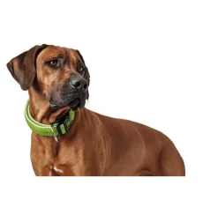 Hunter Hondenhalsband Hilo Vario Plus Lime- Hondenhalsband