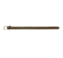 Hunter Hondenhalsband Hunting Groen- Hondenhalsband