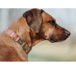 Hunter Hondenhalsband Inari Alu Strong Pastel Rood- Hondenhalsband