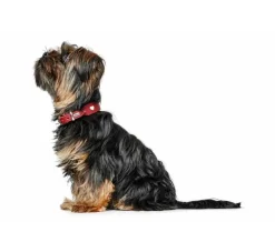 Hunter Hondenhalsband Love- Hondenhalsband