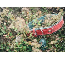 Hunter Hondenhalsband Lucca Rood- Hondenhalsband