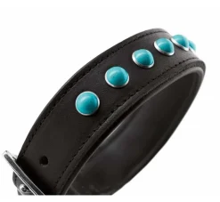 Hunter Hondenhalsband Modica- Hondenhalsband