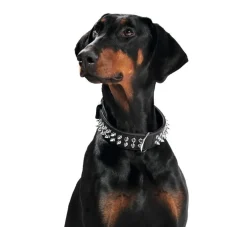 Hunter Hondenhalsband Rambo- Hondenhalsband