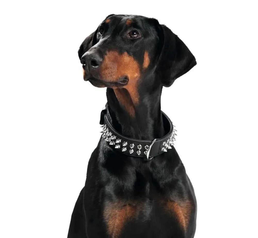 Hunter Hondenhalsband Rambo- Hondenhalsband