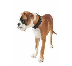 Hunter Hondenhalsband Softie Zwart Triluxe- Hondenhalsband