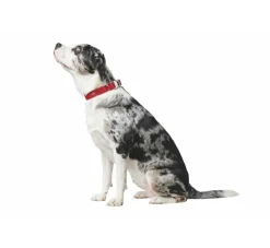 Hunter Hondenhalsband Softie Alu Strong Rood- Hondenhalsband