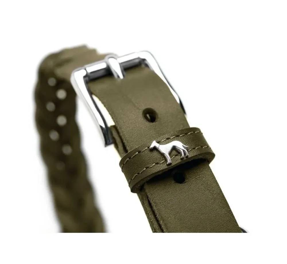 Hunter Hondenhalsband Solid Education Olive- Hondenhalsband