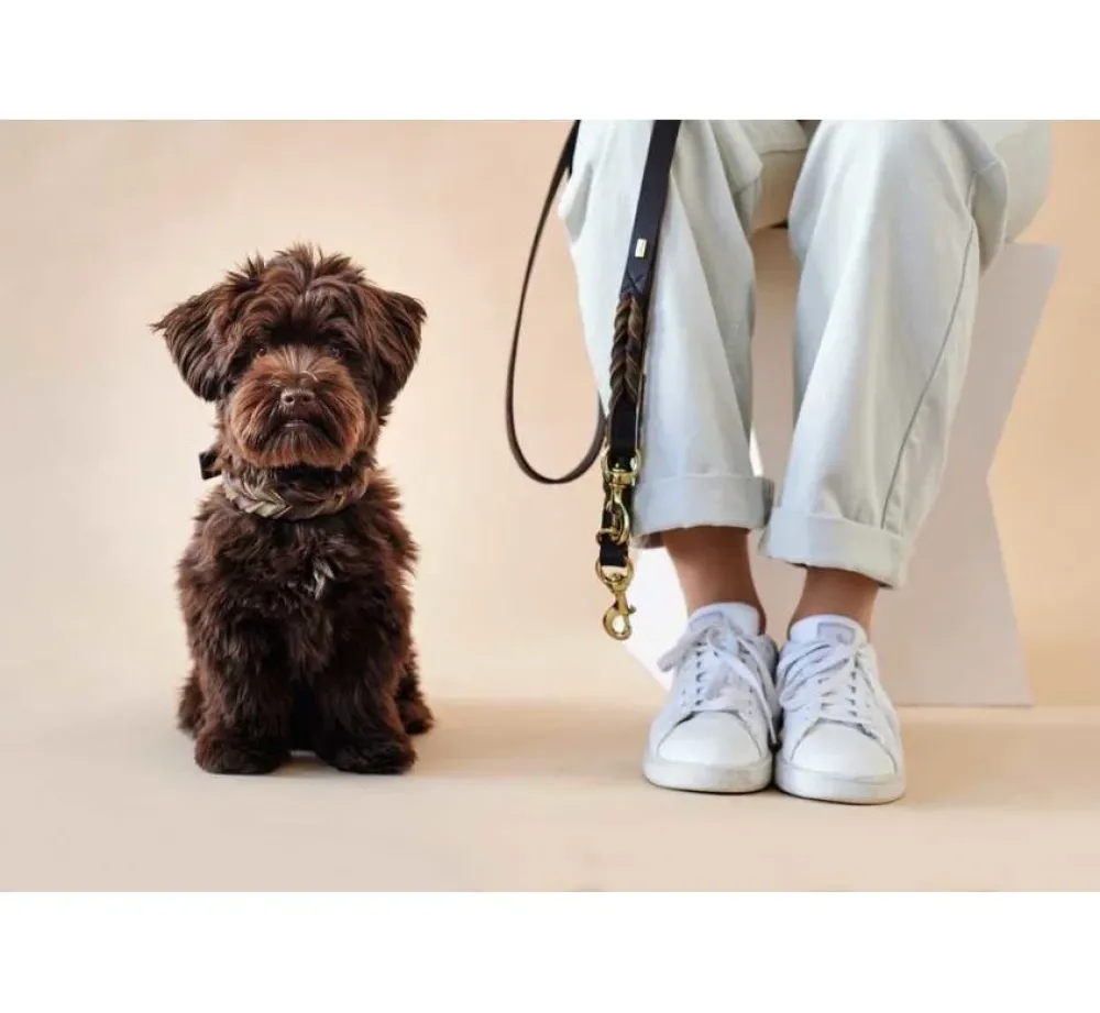 Hunter Hondenhalsband Solid Education Duo Bruin- Hondenhalsband