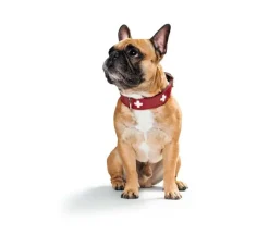 Hunter Hondenhalsband Swiss Rood- Hondenhalsband