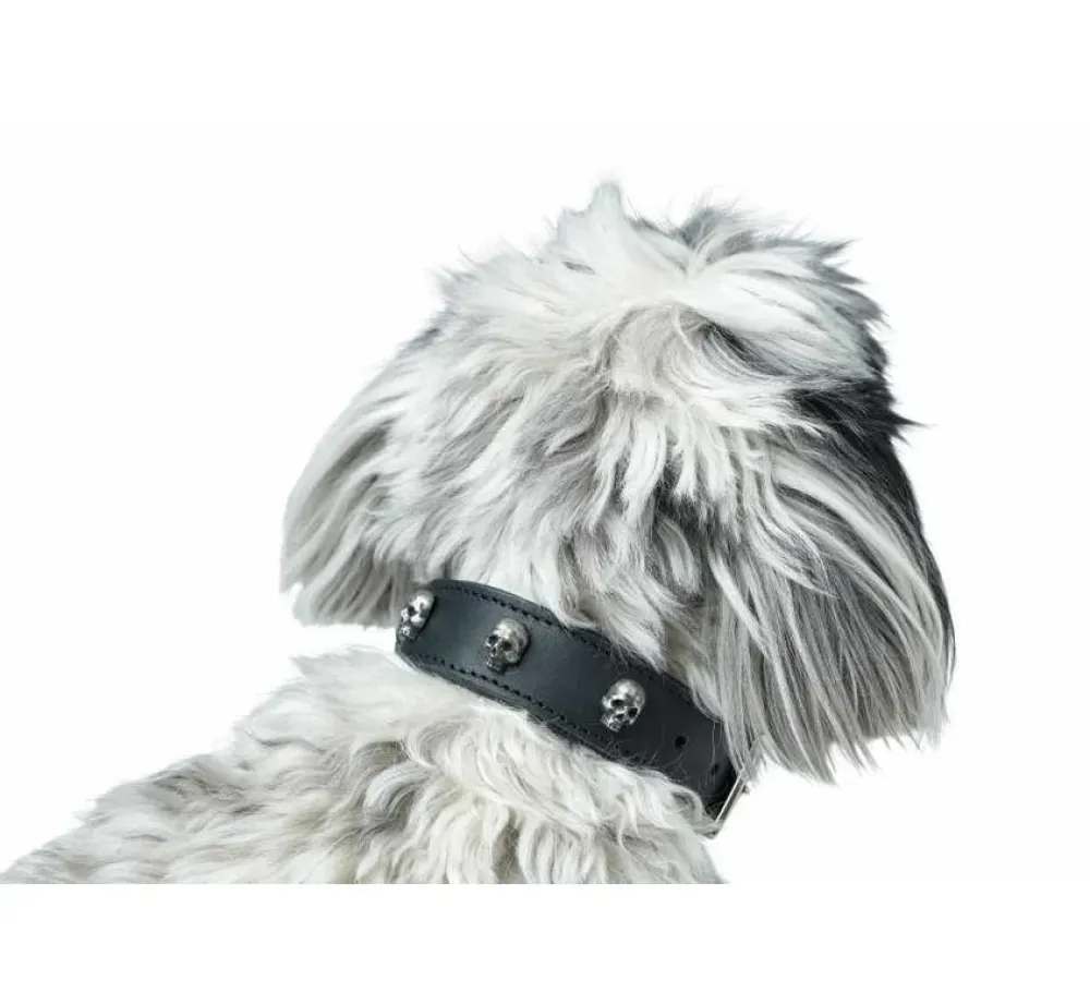 Hunter Hondenhalsband Tijuana- Hondenhalsband