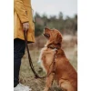 Hunter Hondenriem Solid Education Cord Bruin Oranje- Hunter Hondenriem