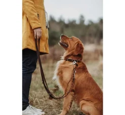 Hunter Hondenriem Solid Education Cord Bruin Oranje- Hunter Hondenriem