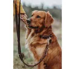 Hunter Hondenriem Solid Education Cord Bruin Oranje- Hunter Hondenriem