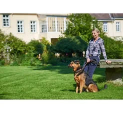 Hunter Hondenriem Swiss Bruin- Hunter Hondenriem