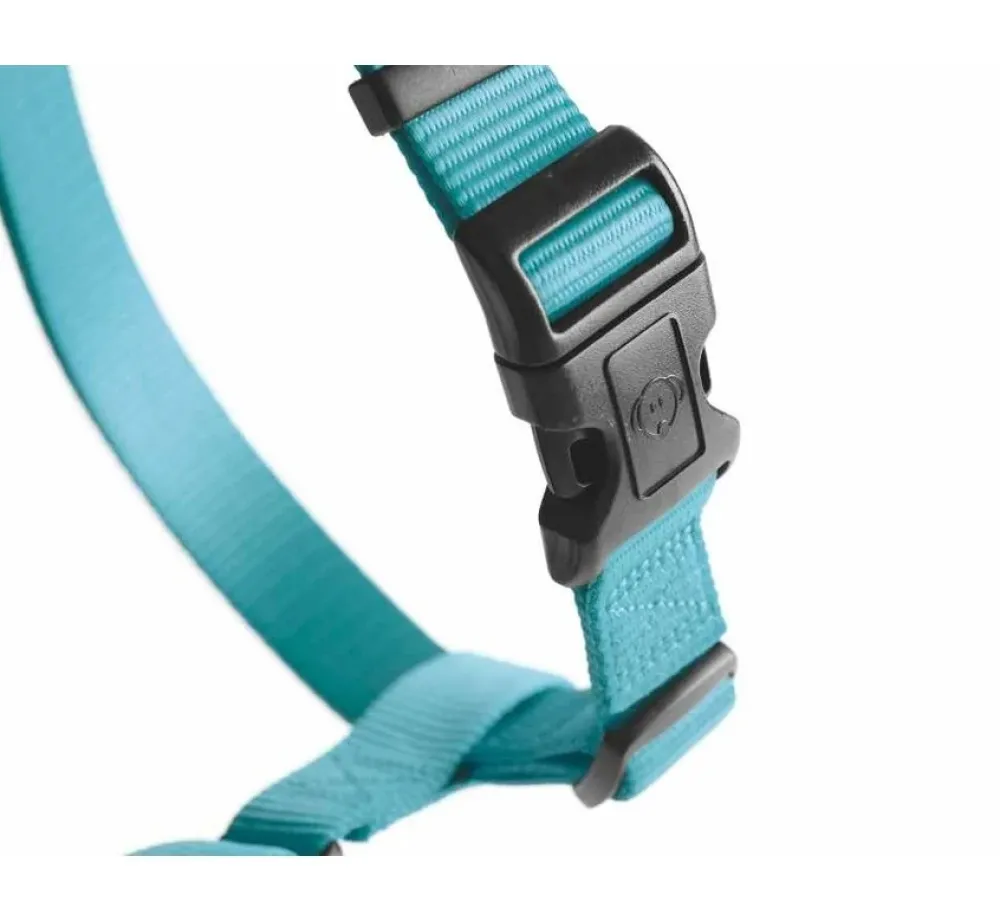 Hunter Hondentuig Ecco Sport Basic Turquoise- Hunter Hondentuig