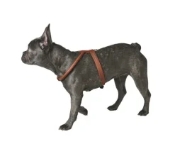 Hunter Hondentuig Elk Petit Cognac- Hunter Hondentuig
