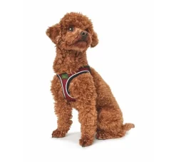 Hunter Hondentuig Hilo Comfort Rood- Hunter Hondentuig