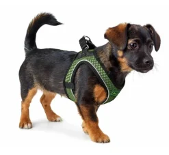 Hunter Hondentuig Hilo Comfort Linde Groen- Hunter Hondentuig