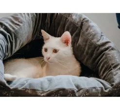 Hunter Kattengrot Luena- Kattenmand