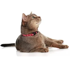 Hunter Kattenhalsband Laura Rood- Kattenhalsband