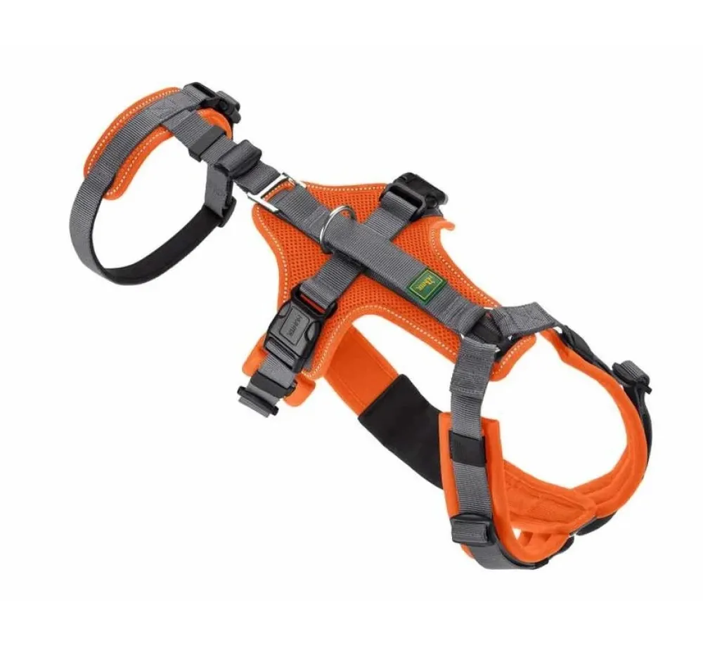 Hunter Veiligheidsharnas Maldon Oranje- Hunter Hondentuig