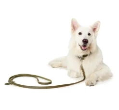 Hunter Verstelbare Hondenriem Solid Education Olive- Hunter Hondenriem