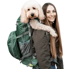 K9 Sport Sack Hondenrugzak Kolossus Groen- Hondentas