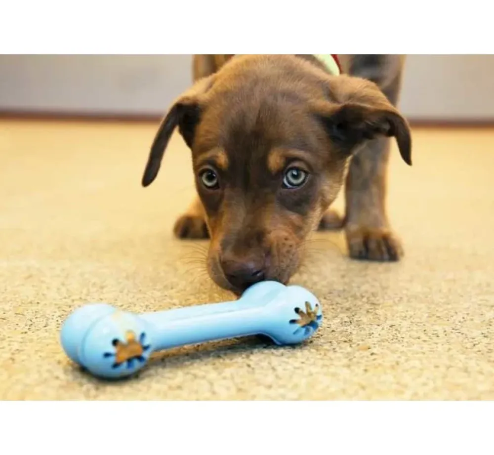 Kong Hondenspeelgoed Goodie Bone Puppy- Puppy Speelgoed