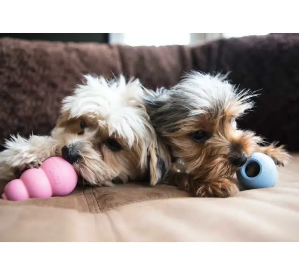 Kong Hondenspeelgoed Puppy- Puppy Speelgoed