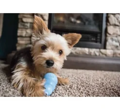 Kong Hondenspeelgoed Puppy- Puppy Speelgoed