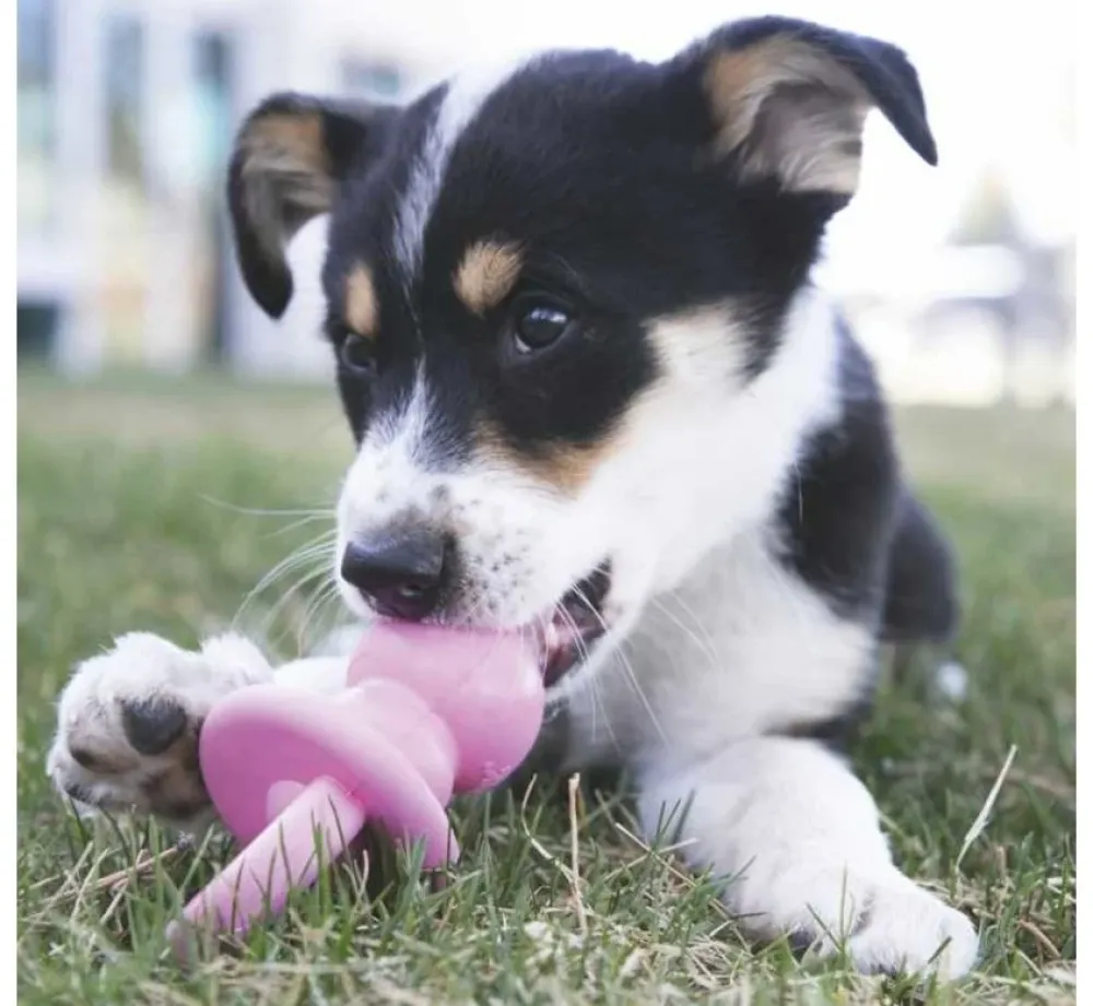 Kong Hondenspeelgoed Puppy Binkie- Puppy Speelgoed