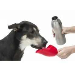 Kong Waterfles Rood- Voerbak En Drinkbak