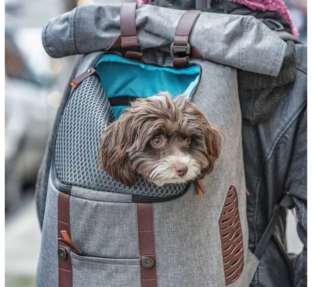 Kurgo Hondenrugzak K9 Rucksack- Hondentas