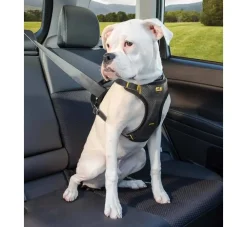 Kurgo Hondentuig Impact Dog Car Harness- Autogordel Hond