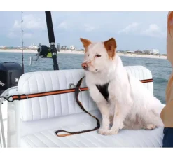 Kurgo Veiligheidsriem- Autogordel Hond