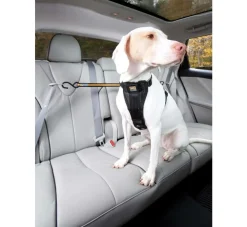 Kurgo Veiligheidsriem- Autogordel Hond