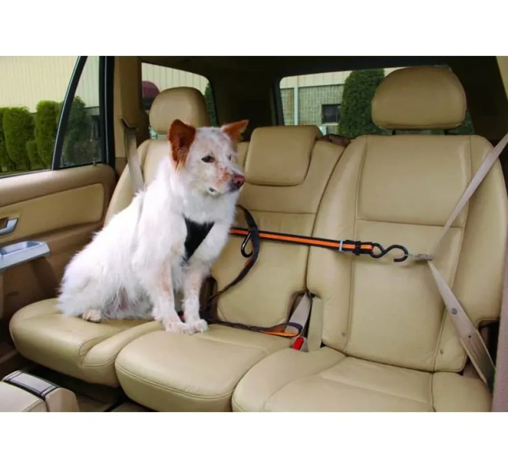Kurgo Veiligheidsriem- Autogordel Hond