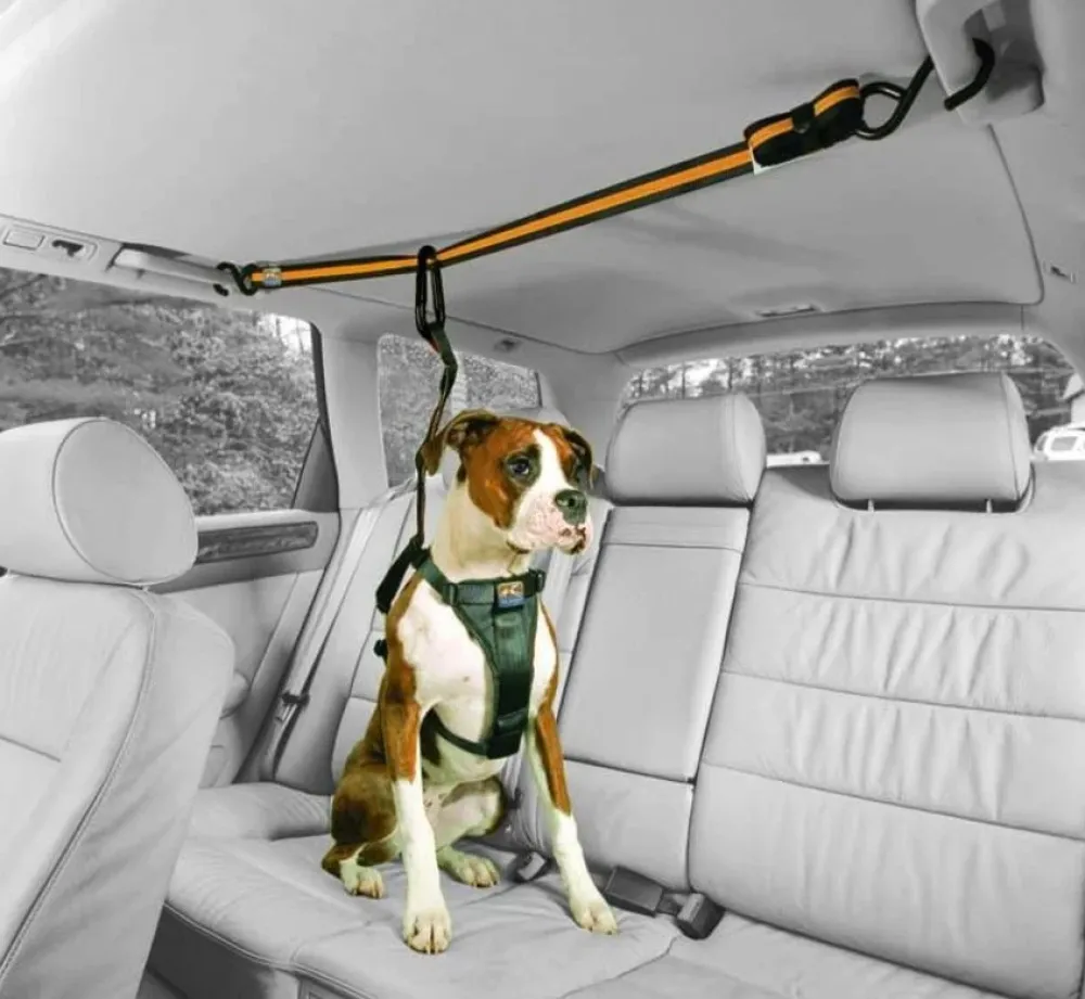 Kurgo Veiligheidsriem- Autogordel Hond