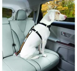 Kurgo Veiligheidsriem Voor Autogordel- Autogordel Hond