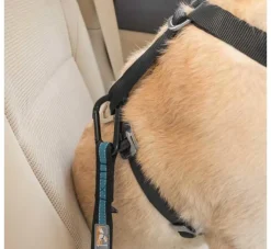 Kurgo Veiligheidsriem Voor Autogordel Blauw- Autogordel Hond