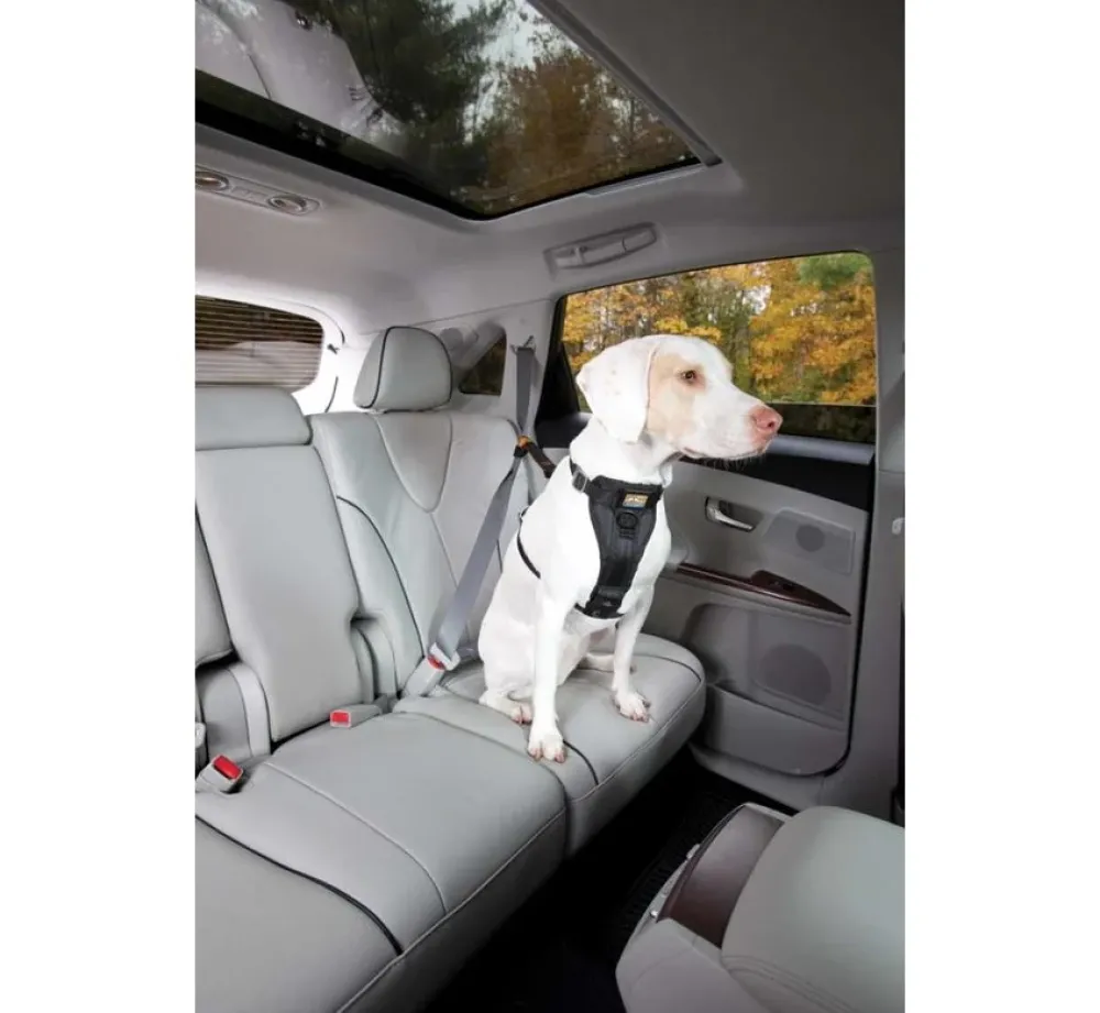 Kurgo Versterkt Hondentuig Voor De Auto Zwart- Autogordel Hond