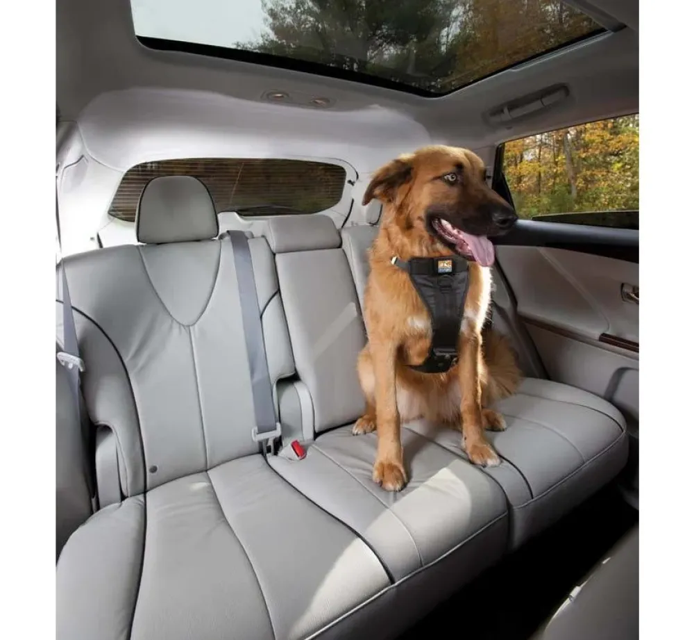 Kurgo Versterkt Hondentuig Voor De Auto Zwart- Autogordel Hond