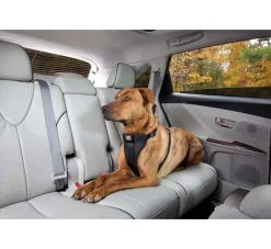 Kurgo Versterkt Hondentuig Voor De Auto Zwart- Autogordel Hond
